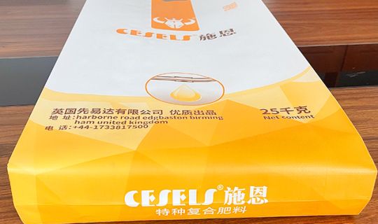 自粘方包袋50